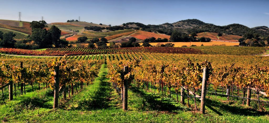 Photo of Napa, California