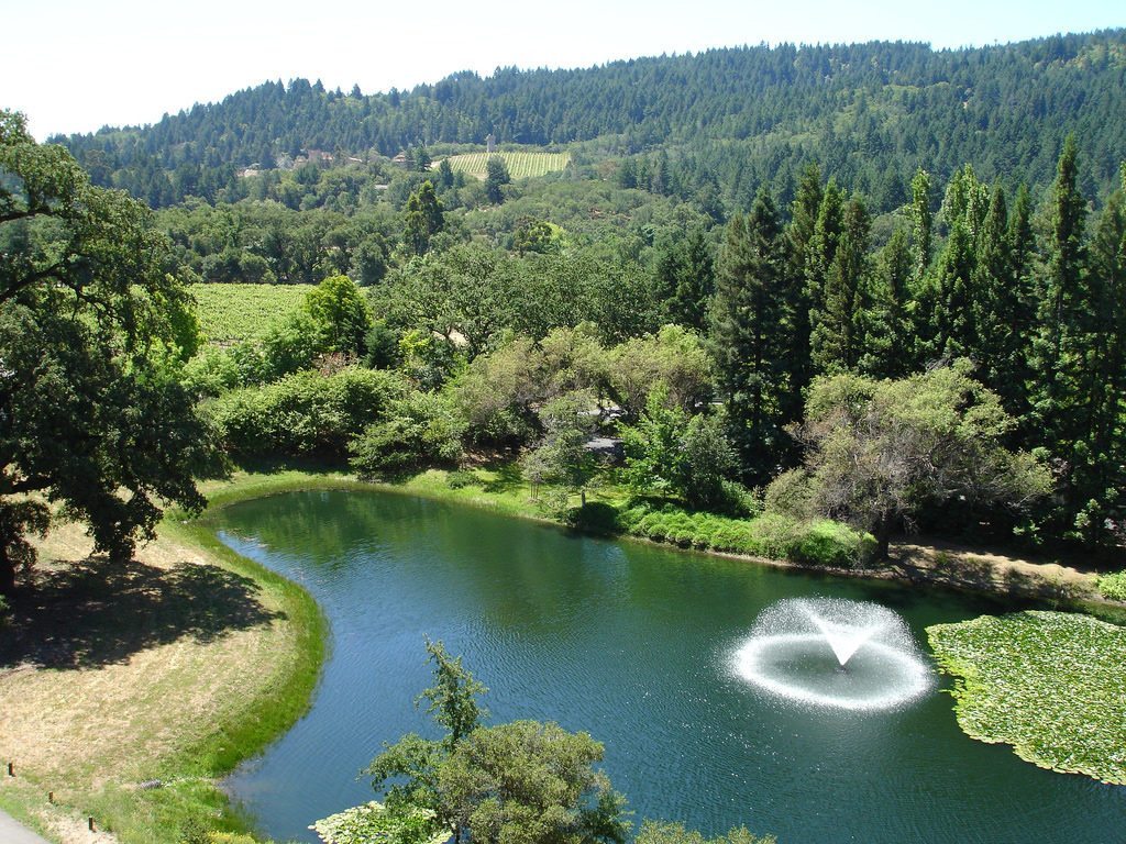 Photo of Calistoga, California